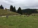 ASIAGO2018 (23)